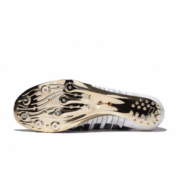 IMG_5393 PUMA evoSpeed Sprint Nitro 2 GOLD