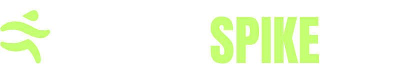 A WordPress Site